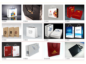 手挽袋kaiyun开云网页版